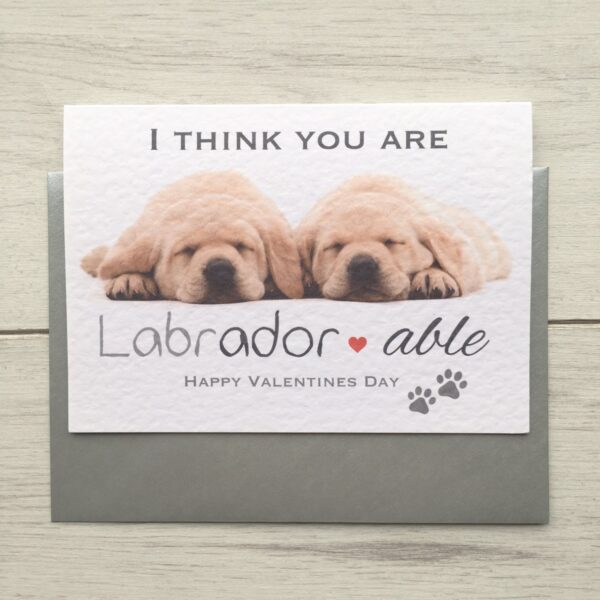 il_fullxfull.1120467282_kuhi