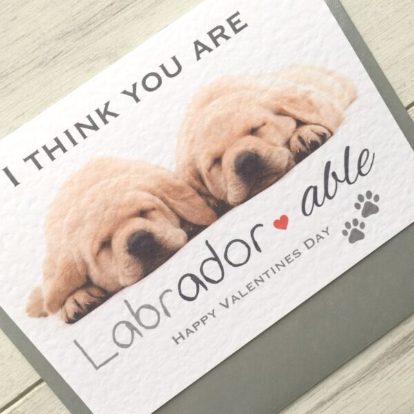 il_fullxfull.1167072287_7wd0