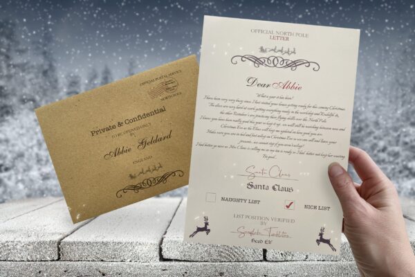 il_fullxfull.2680374696_2egr