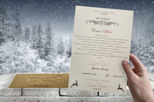 il_fullxfull.2728055015_6c4c